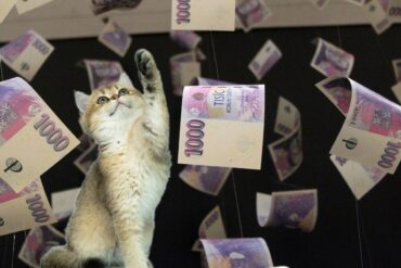 Česká ekonomická kočička. Zdroj: Koláž Deníku TO