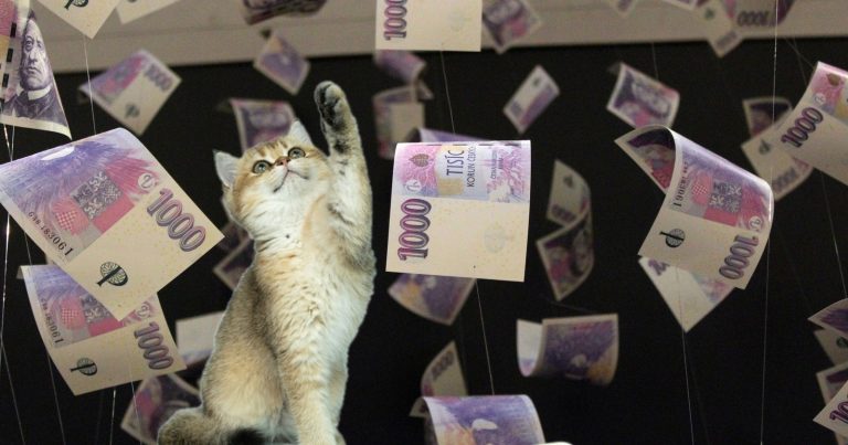 Česká ekonomická kočička. Zdroj: Koláž Deníku TO