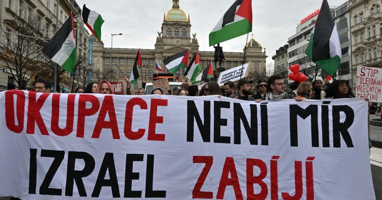 Pochod solidarity s Palestinou. Zdroj: Profimedia