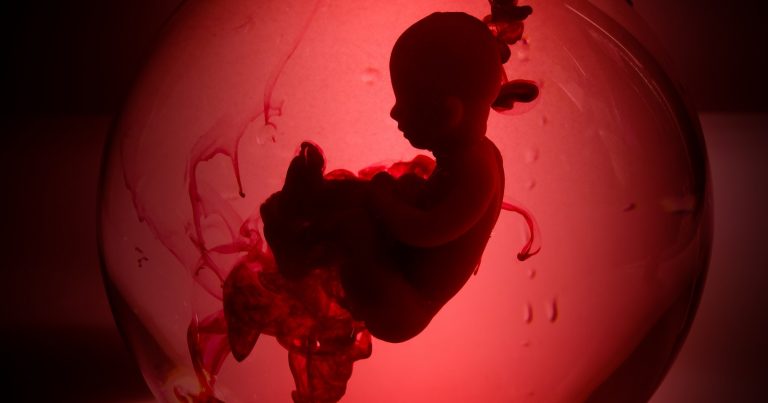 Potrat - ilustrační foto