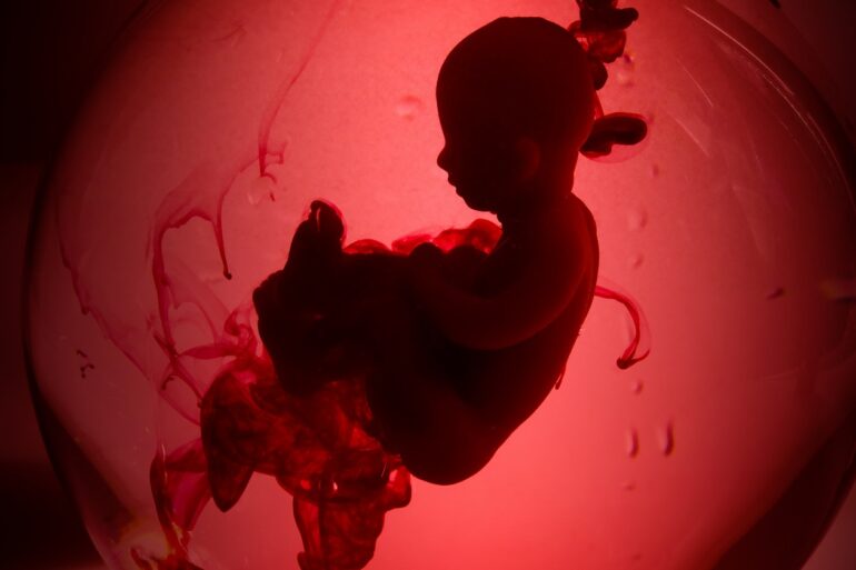 Potrat - ilustrační foto