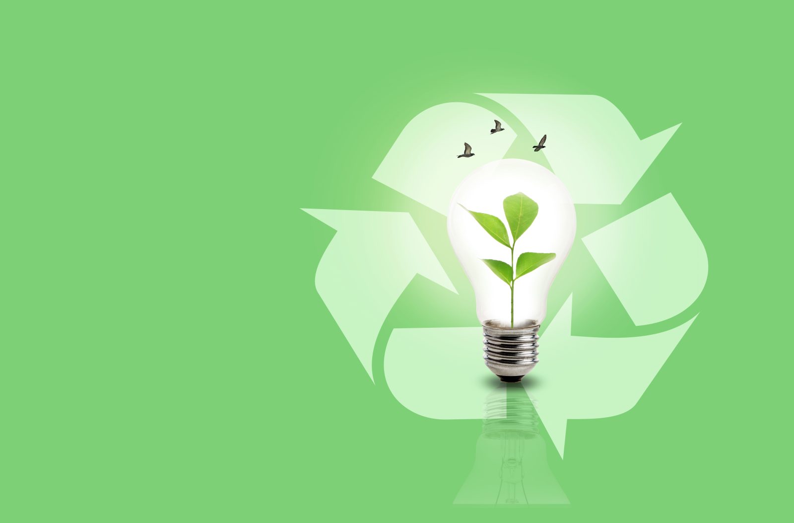 Zelená ideologie - ilustrační foto