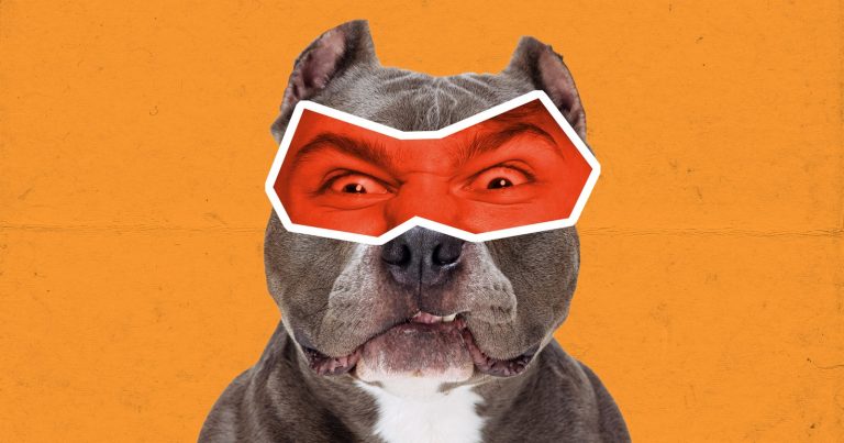 Hlídací pes demokracie, či šelma psovitá utžená ze řetězu?