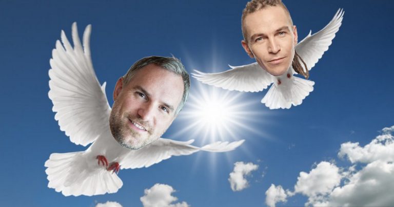 Pirátské holubičky na koláži Deníku TO